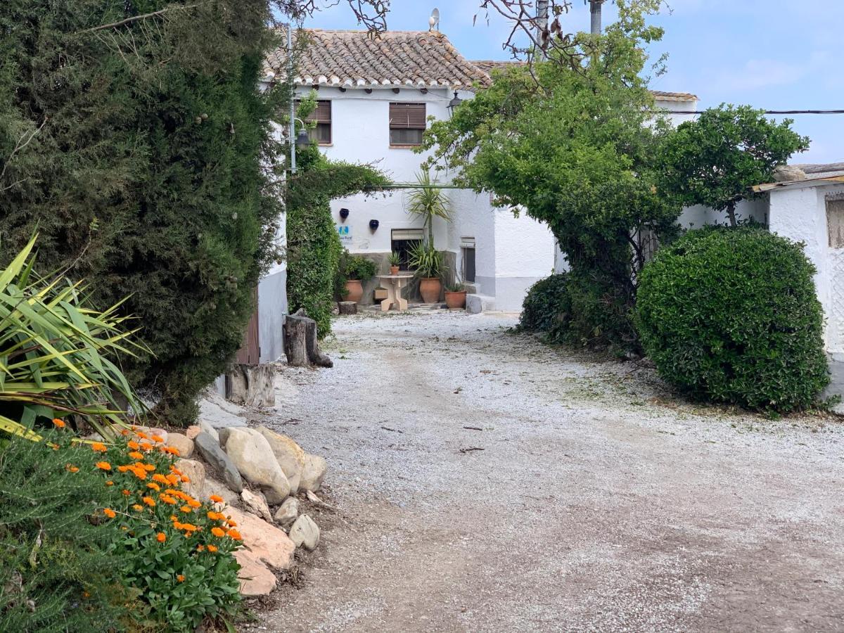 Gasthaus Cortijo Bustamante Baza Exterior foto
